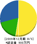 大宮無線 貸借対照表 2009年12月期