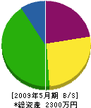 田中工務店 貸借対照表 2009年5月期