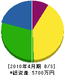 桜井企業 貸借対照表 2010年4月期