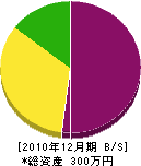 新湊土石 貸借対照表 2010年12月期