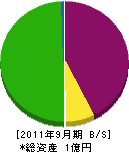 川中ハウス 貸借対照表 2011年9月期
