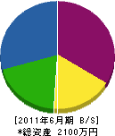 坂井建設 貸借対照表 2011年6月期