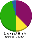 金沢産業 貸借対照表 2009年6月期