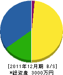 芝野建設 貸借対照表 2011年12月期 芝野建設 貸借対照表 2011年12月期
