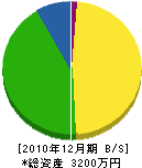 新井電気工事 貸借対照表 2010年12月期