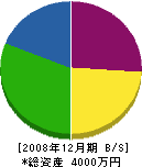 猿田工業 貸借対照表 2008年12月期