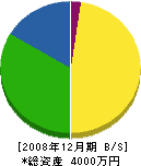 上村電気工事店 貸借対照表 2008年12月期