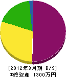 東武電機商会 貸借対照表 2012年3月期