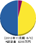 十和田電気通信工業 貸借対照表 2012年11月期
