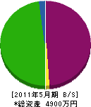 波崎電機 貸借対照表 2011年5月期