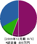 遠藤工業 貸借対照表 2009年12月期
