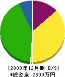 木村工業所 貸借対照表 2008年12月期