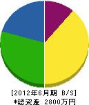 松井造園工務店 貸借対照表 2012年6月期