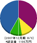 手塚工業 貸借対照表 2007年12月期