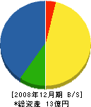 大島電気 貸借対照表 2008年12月期