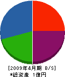 松井建業 貸借対照表 2009年4月期