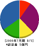櫻井組 貸借対照表 2008年7月期