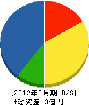 飯島工事 貸借対照表 2012年9月期