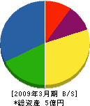 合田工務店 貸借対照表 2009年3月期