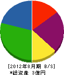 栄和電機 貸借対照表 2012年8月期