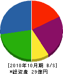 松尾工務店 貸借対照表 2010年10月期