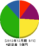 岡本ペンキ店 貸借対照表 2012年12月期