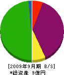 菅原石材 貸借対照表 2009年9月期