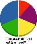 昭和産業 貸借対照表 2009年4月期