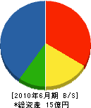 田村組 貸借対照表 2010年6月期