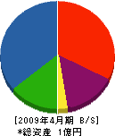 上島建設 貸借対照表 2009年4月期