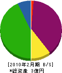 松村自動車商会 貸借対照表 2010年2月期