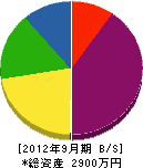 神田設備 貸借対照表 2012年9月期