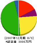桐谷建設 貸借対照表 2007年12月期