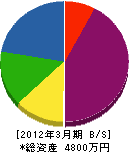 嶋田工務所 貸借対照表 2012年3月期