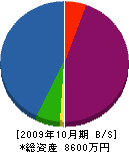長瀞産業 貸借対照表 2009年10月期