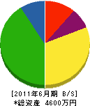 山田塗装工業所 貸借対照表 2011年6月期