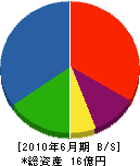 小笠原マル＊ 貸借対照表 2010年6月期