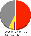 牟田口建設 損益計算書 2009年12月期
