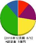 岡本ペンキ店 貸借対照表 2010年12月期