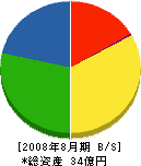 日本地下水開発 貸借対照表 2008年8月期