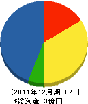 渋谷工務店 貸借対照表 2011年12月期