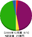 醍醐建設 貸借対照表 2008年12月期