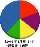 池田工務店 貸借対照表 2008年4月期