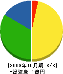 堀内組 貸借対照表 2009年10月期