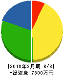 東京世田谷電設工業（同） 貸借対照表 2010年3月期