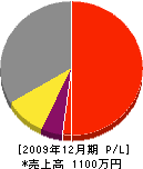 平田建設 損益計算書 2009年12月期