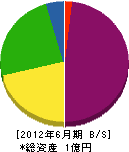 斉藤電気商会 貸借対照表 2012年6月期