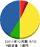 東洋 貸借対照表 2011年12月期