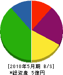 広川 貸借対照表 2010年5月期