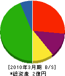 橋本建設 貸借対照表 2010年3月期